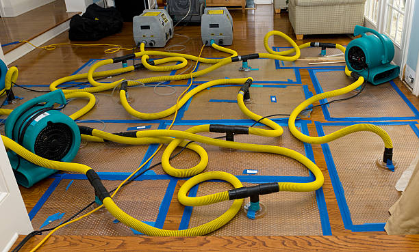Professional Water Damage Repair technician working in Zenda, WI